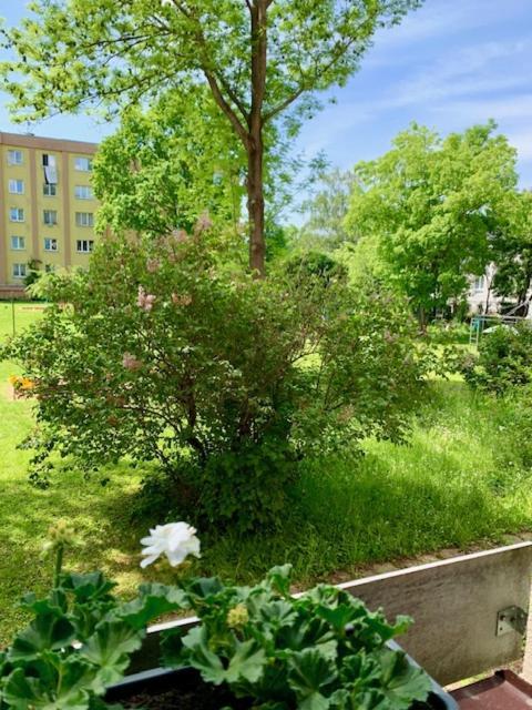 Apartman Snyt Primka Ołomuniec Zewnętrze zdjęcie