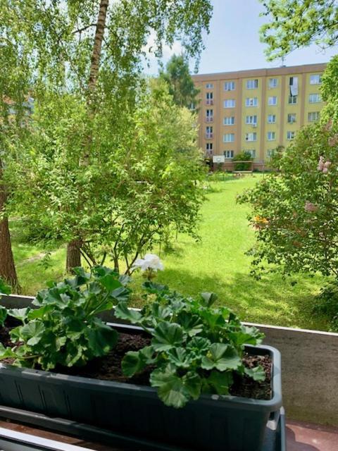 Apartman Snyt Primka Ołomuniec Zewnętrze zdjęcie